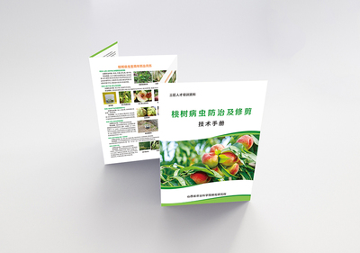 桃樹4折頁